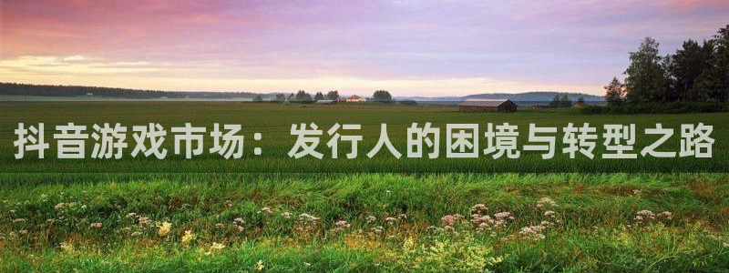 东莞火狐电竞app官网信息科技有限公司