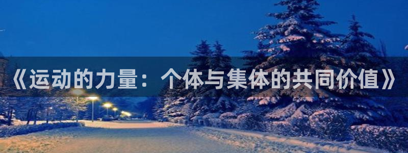 3377体育全网