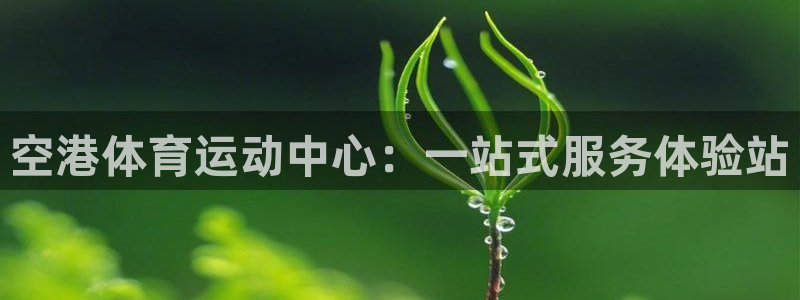 3377体育app下载安装