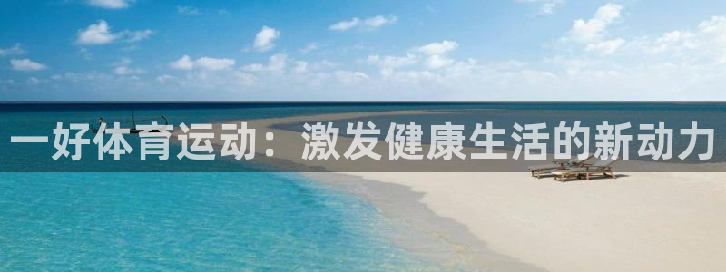 3377体育全网