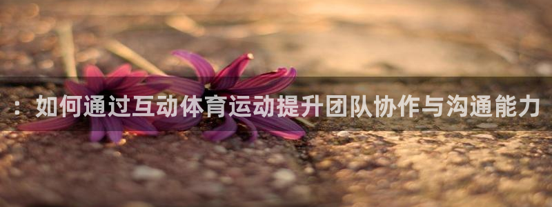 3377体育app官方下载