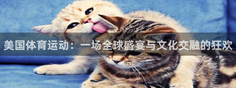 3377体育app下载安装：美国体育运动：一场全球盛宴与文化交融的狂欢