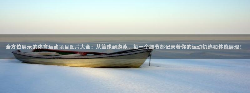 3377体育靠谱吗：全方位展示的体育运动项目图片大全：从篮球到游泳，每一个细节都记录着你的运动轨迹和体能展现！