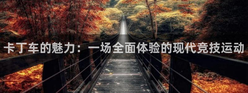 3377体育官网入口下载最新：卡丁车的魅力：一场全面体验的现代竞技运动