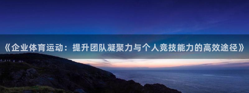 3377体育是正规的吗：《企业体育运动：提升团队凝聚力与个人竞技能力的高效途径》