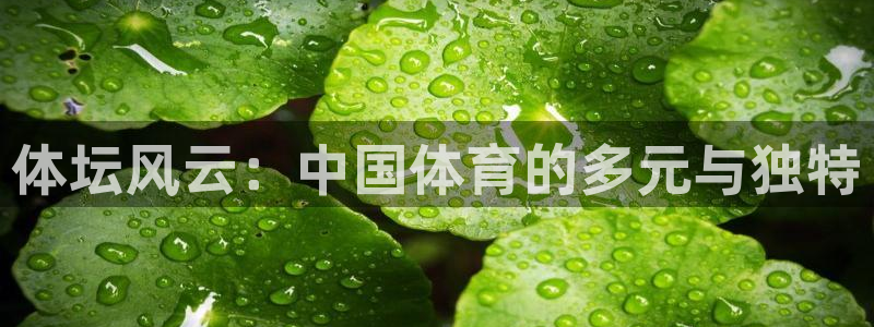 3377体育在线登录官网入口：体坛风云：中国体育的多元与独特