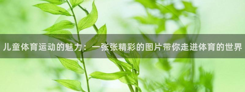 3377体育app登录入口：儿童体育运动的魅力：一张张精彩的图片带你走进体育的世界