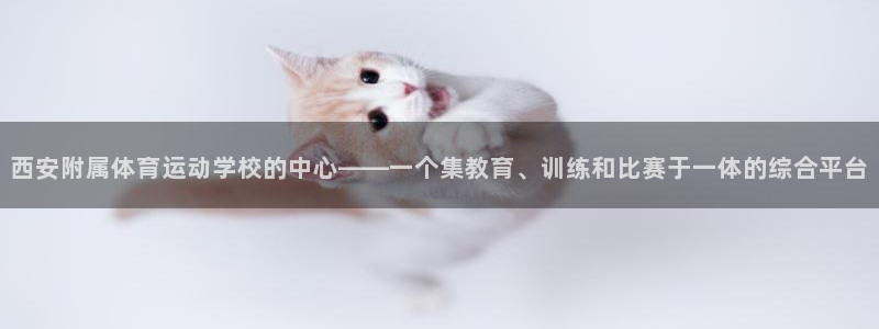 3377体育官网入口下载最新：西安附属体育运动学校的中心——一个集教育、训练和比赛于一体的综合平台