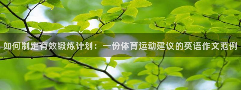 3377体育官网下载：如何制定有效锻炼计划：一份体育运动建议的英语作文范例