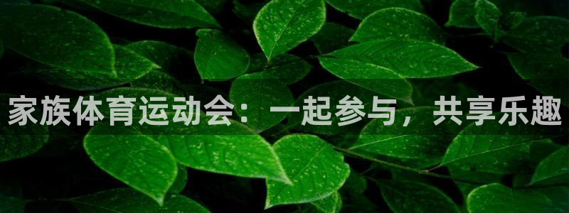 3377体育(中国)官方网站：家族体育运动会：一起参与，共享乐趣