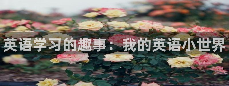 3377体育官网入口下载最新：英语学习的趣事：我的英语小世界